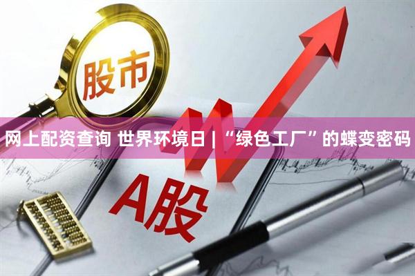 网上配资查询 世界环境日 | “绿色工厂”的蝶变密码