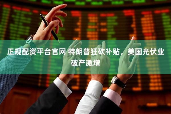 正规配资平台官网 特朗普狂砍补贴，美国光伏业破产激增