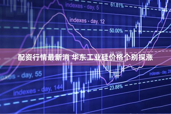 配资行情最新消 华东工业硅价格个别探涨