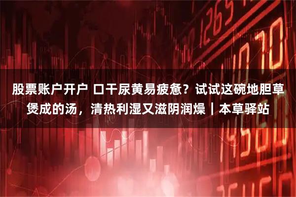 股票账户开户 口干尿黄易疲惫？试试这碗地胆草煲成的汤，清热利湿又滋阴润燥｜本草驿站